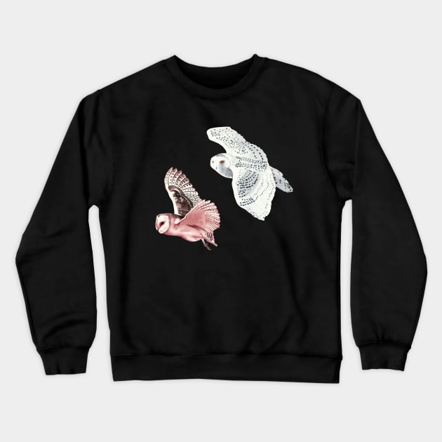 Flying owls Crewneck Sweatshirt by Lara Plume